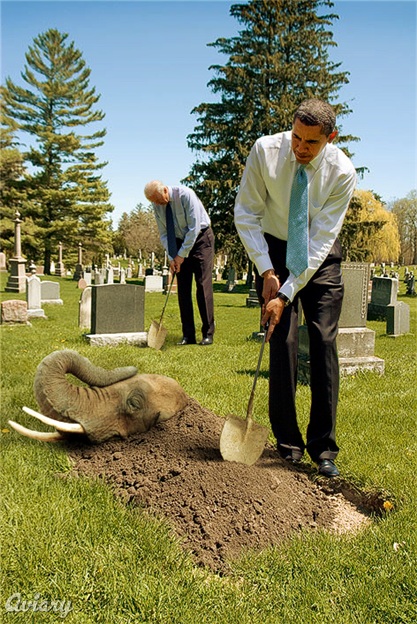 Elephant dies, Obama does the right thing. This is not a political statement. 