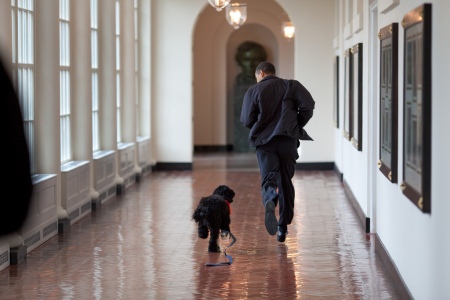 Wanna be my running mate for 2012? (Courtesy of White House Photographer Pete Souza)