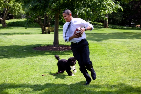 Joe Biden's got nothing on you Bo! (Official White House Photo by Pete Souza)